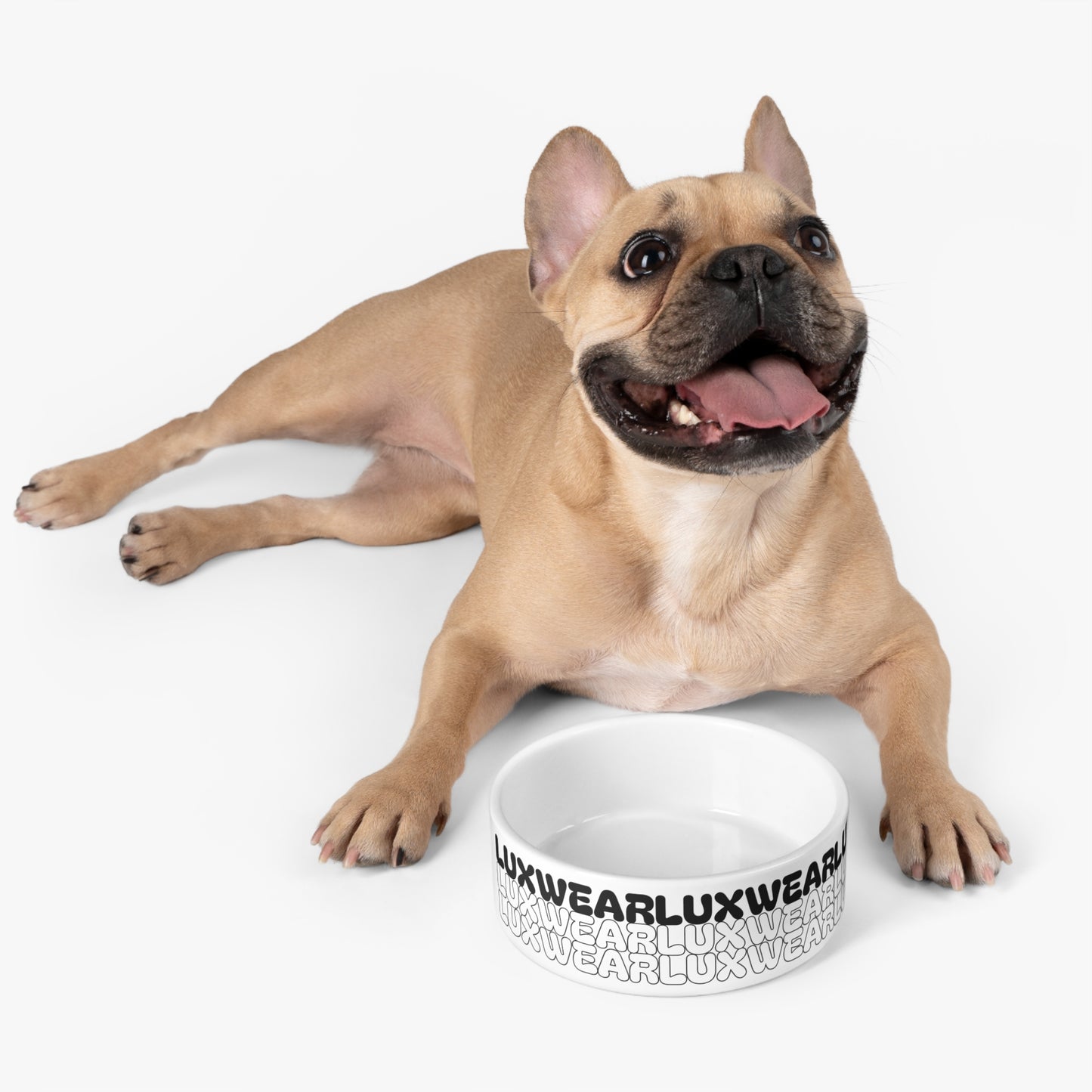 Modern Pet Bowl with Stylish Lux Wear Design