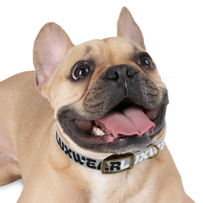 Stylish Dog Collar with Modern Design for Fashion-Forward Pets