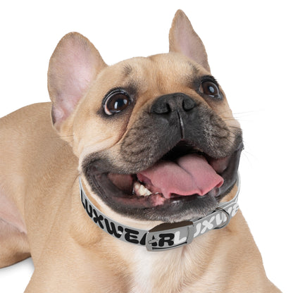 Stylish Dog Collar with Modern Design for Fashion-Forward Pets